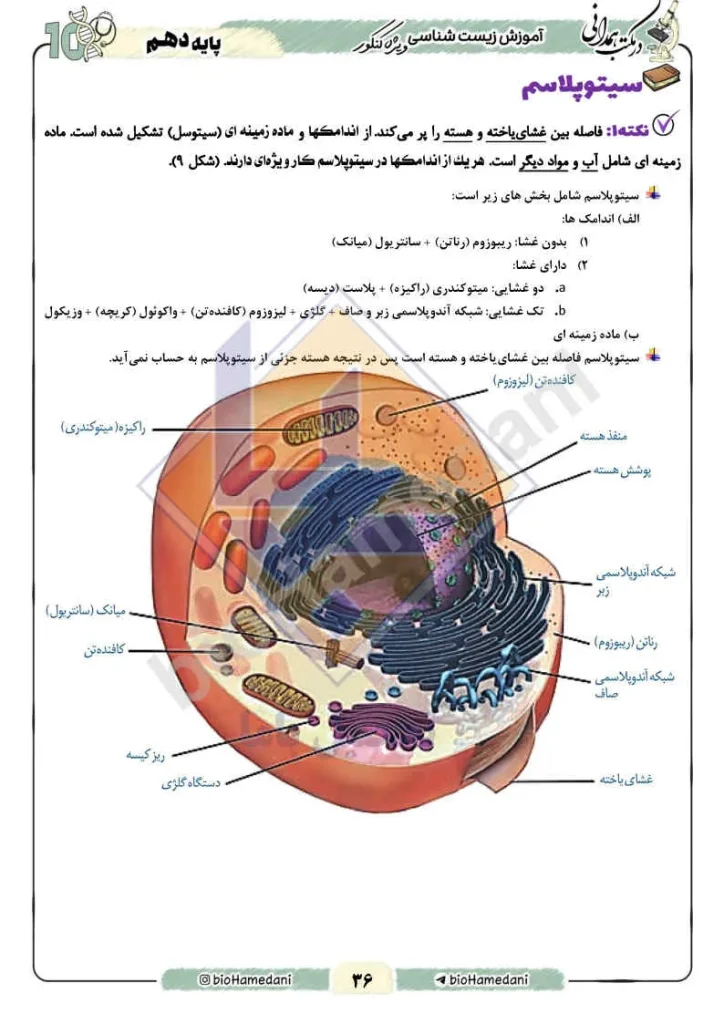 جزوه زیست استاد همدانی (2)