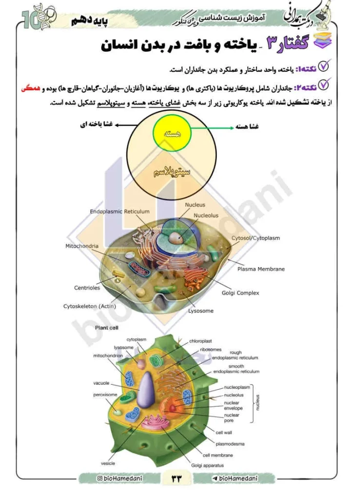 جزوه زیست استاد همدانی (3)