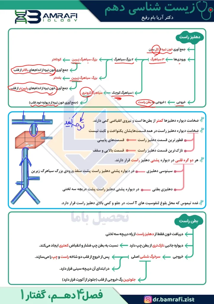 جزوه زیست دهم استاد آریا بام رفیع (2)