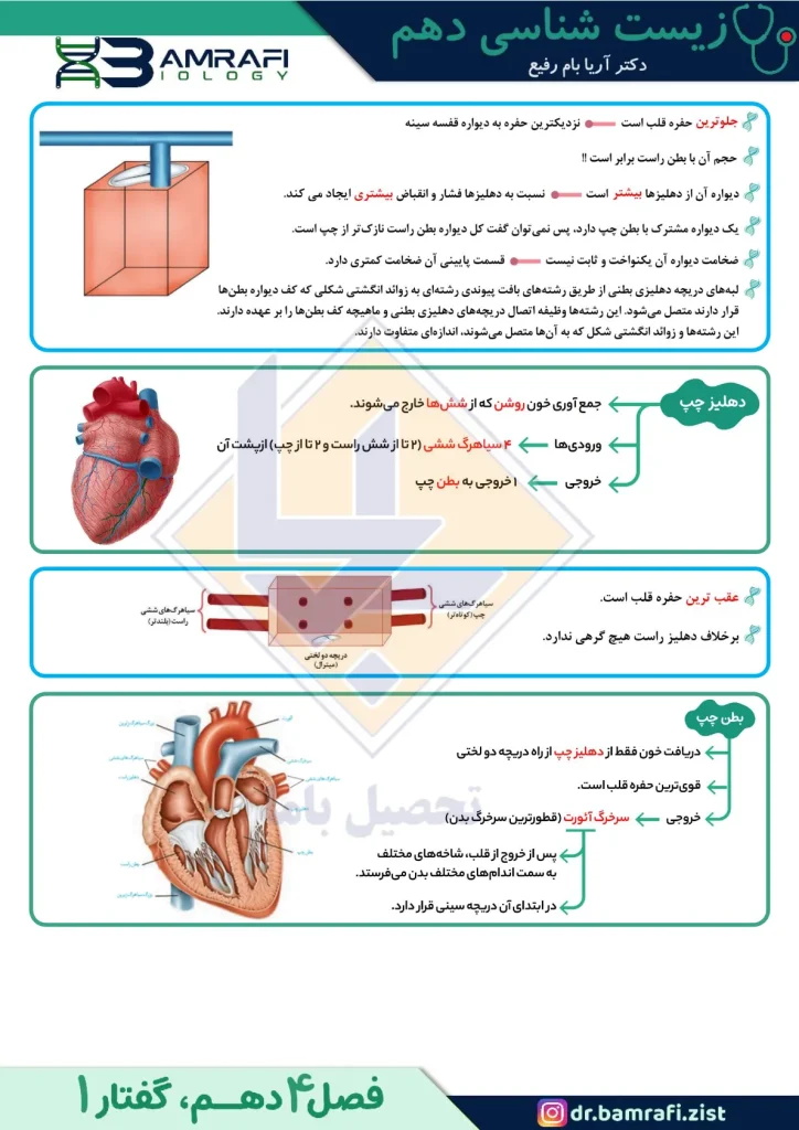 جزوه زیست دهم استاد آریا بام رفیع (3)