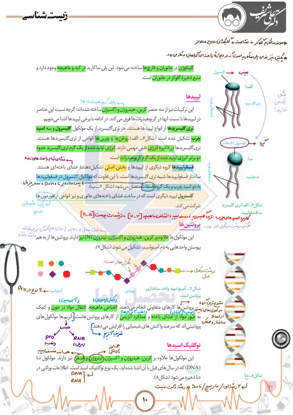 علی شریف کلاسینو 4 جزوه زیست دهم علی شریف 3