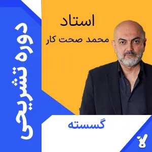 کلاس آنلاین تشریحی هندسه دوازدهم محمد صحت کار